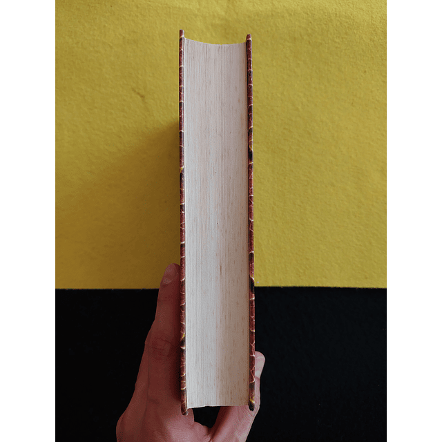 Salman Rushdie - Os versículos satânicos 