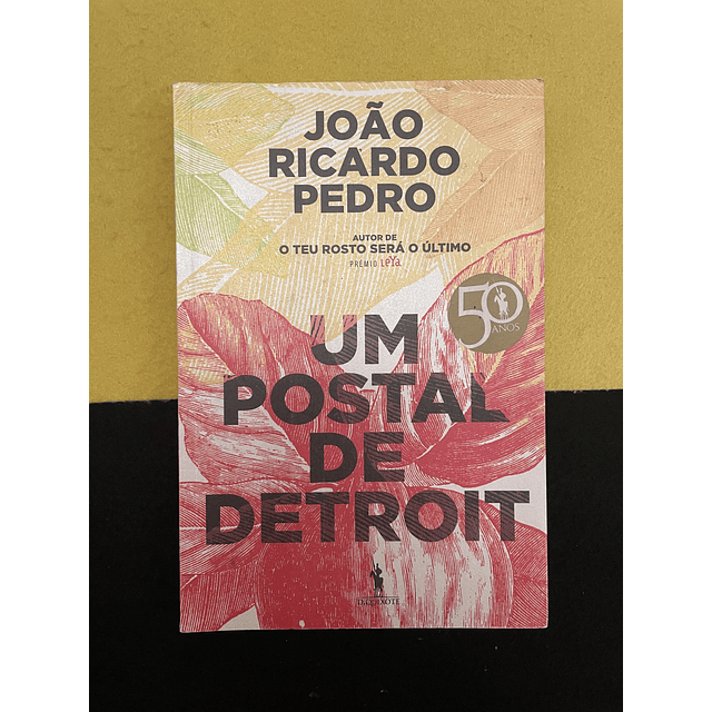João Ricardo Pedro - Um Postal de Detroit