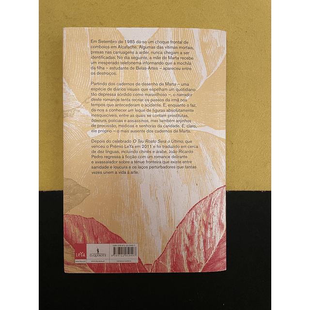 João Ricardo Pedro - Um Postal de Detroit