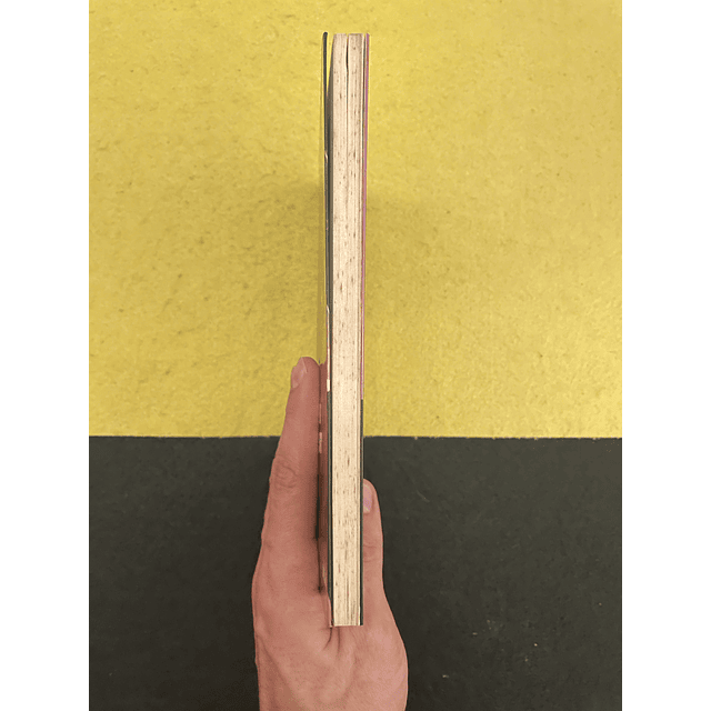 Paul Auster - A Vida interior de Martin Frost