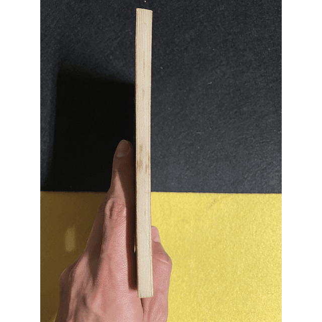 José Luandino Vieira - A vida verdadeira de Domingos Xavier 