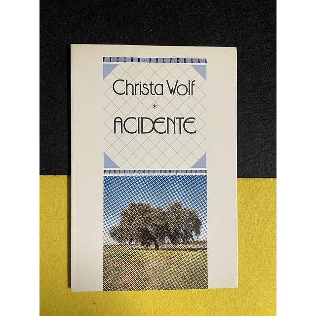 Christa Wolf - Acidente