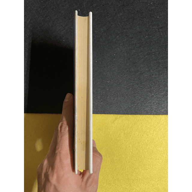 Andrzej Szczypiorski - A Bela senhora Seidenman