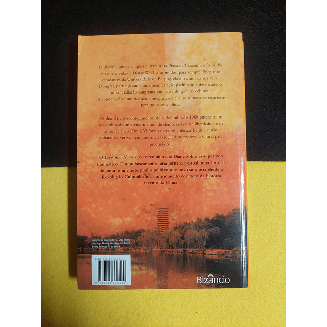 Diane Wei Liang - O lago sem nome: Uma história de amor e conflito na China moderna