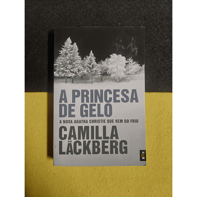 Camilla ackberg - A princesa de gelo: A nova Agatha Christie que vem do frio. LIVRO DE BOLSO