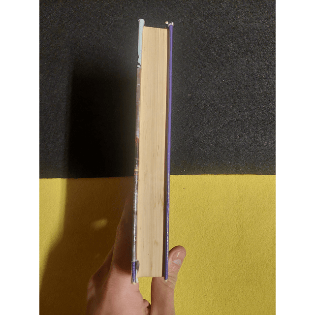 Ken Follett - O vale dos cinco leões