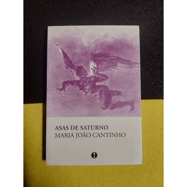 Maria João Cantinho - Asas de Saturno