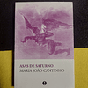 Maria João Cantinho - Asas de Saturno