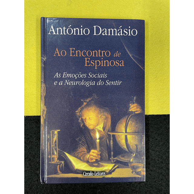 António Damásio - Ao encontro de Espinosa 