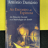António Damásio - Ao encontro de Espinosa 