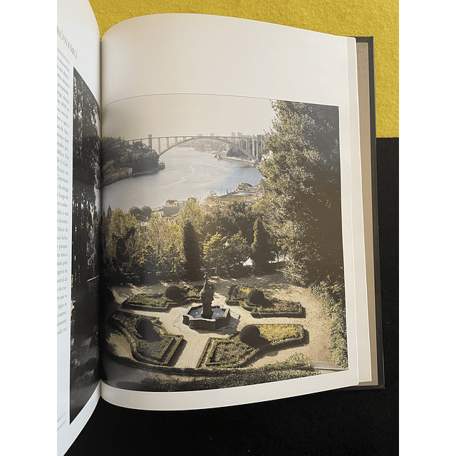 Germano Silva - Fontes e chafarizes do Porto 