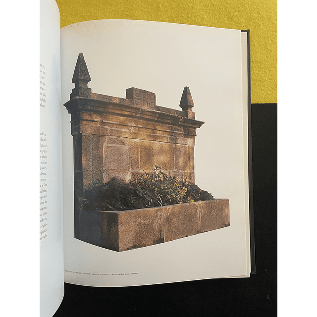 Germano Silva - Fontes e chafarizes do Porto 