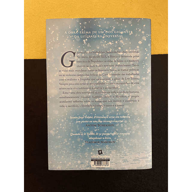 Lev Tolstoi - Guerra e paz, Volume I e II