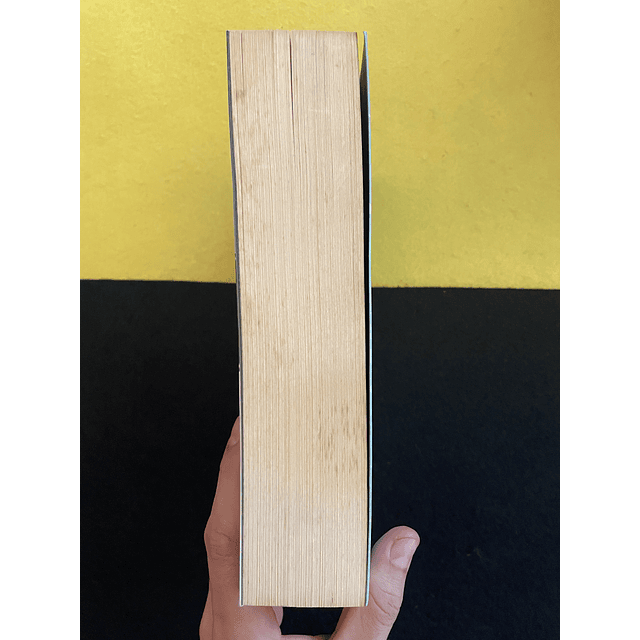 Lev Tolstoi - Guerra e paz, Volume I e II