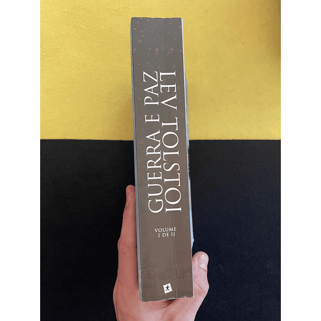 Lev Tolstoi - Guerra e paz, Volume I e II