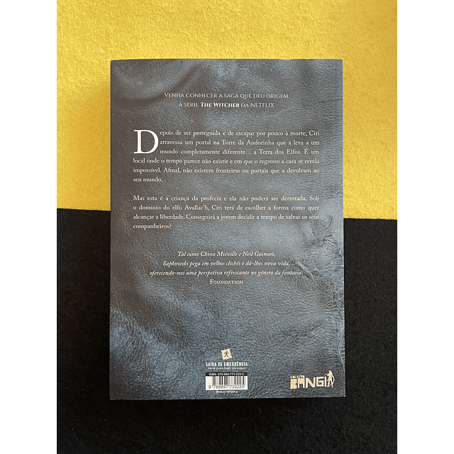 Andrzej Sapkowski - A senhora do lago, Vol. VII