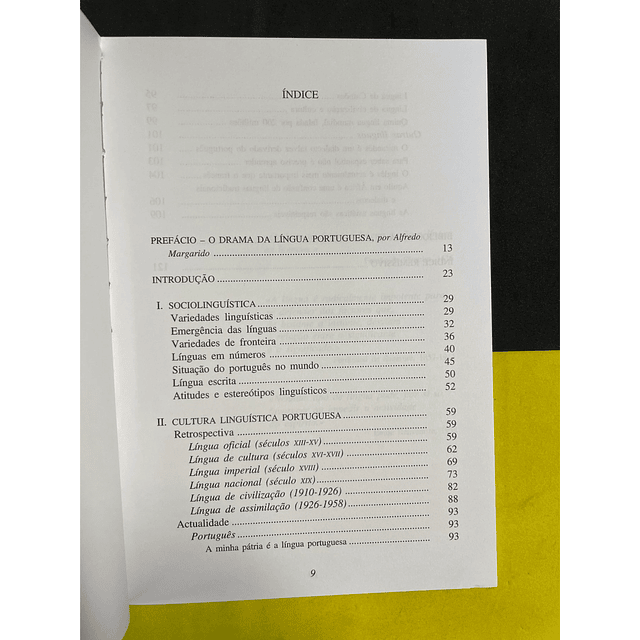 Paulo Feytor Pinto - Como Pensamos a Nossa Língua E a Língua dos Outros