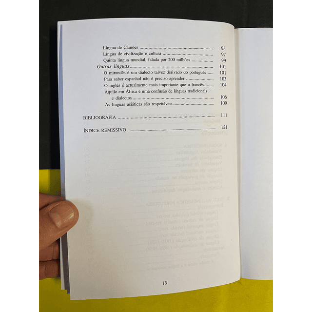 Paulo Feytor Pinto - Como Pensamos a Nossa Língua E a Língua dos Outros