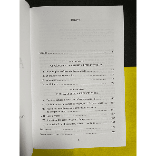 Patrizia Castelli - A Estética do renascimento 