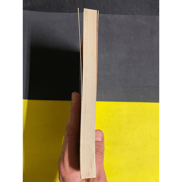 Adam Schaff - História e verdade