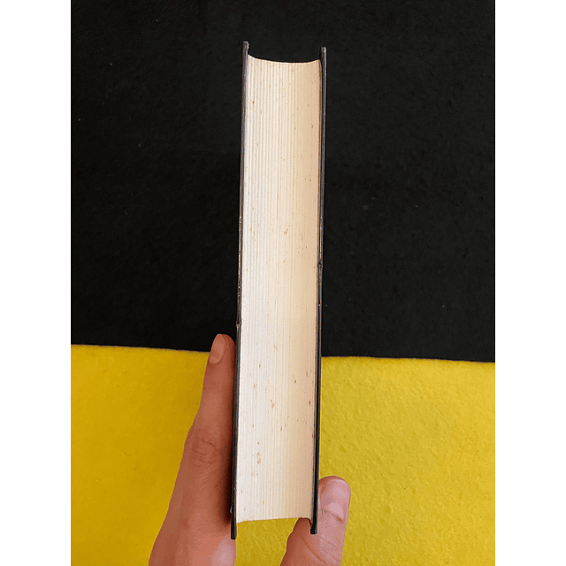 Stephen King - O Retrato de Rose Madder