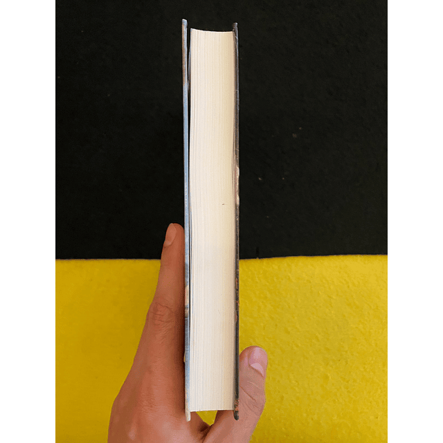 Susan Sontag - O Amante do Vulcão