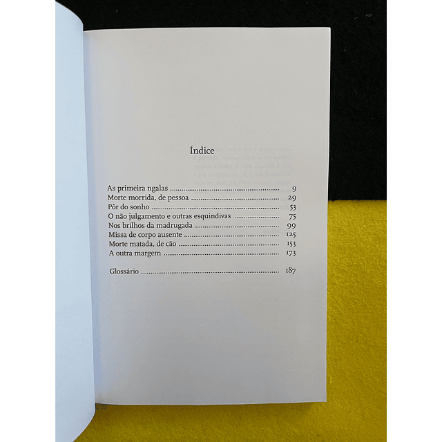 Ondjaki - Quantas Madrugadas Tem a Noite