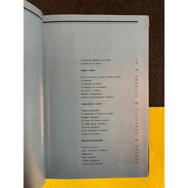 Piers Vitebsky - O xamã