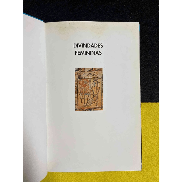 Shahrukh Husain - Divindades femininas