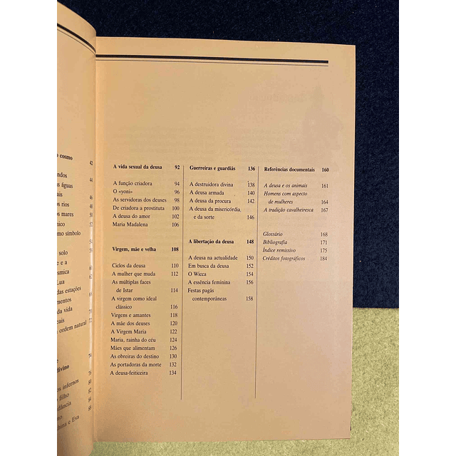 Shahrukh Husain - Divindades femininas