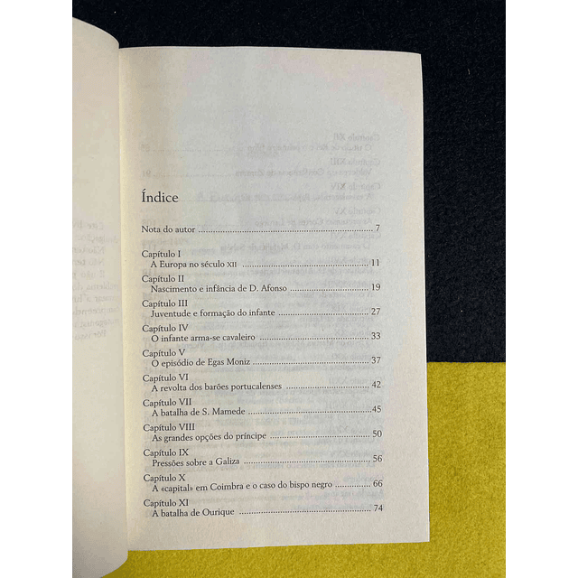 Diogo Freitas do Amaral - D. Afonso Henriques