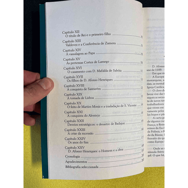 Diogo Freitas do Amaral - D. Afonso Henriques