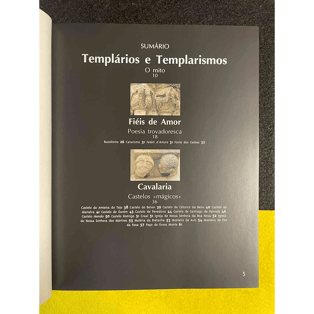 Paulo Pereira - Enigmas lugares mágicos de Portugal: Templários e templarismos. Volume VIII