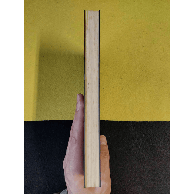 Ignacio Ramonet - Guerras do século XXI: Novos medos, novas ameaças