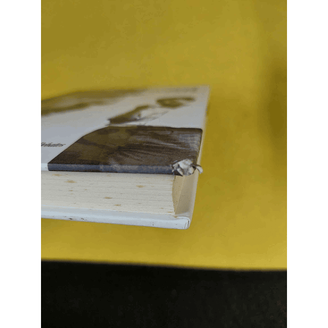 José Fernandes Fafe - Fidel