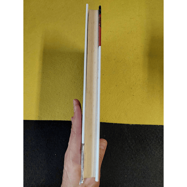 José Fernandes Fafe - Fidel