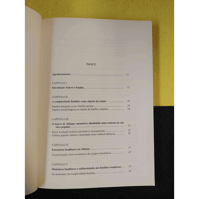 Cristina Santos Silva - Famílias de Alfama: Dinâmicas e solidariedades familiares num bairro histórico de Lisboa
