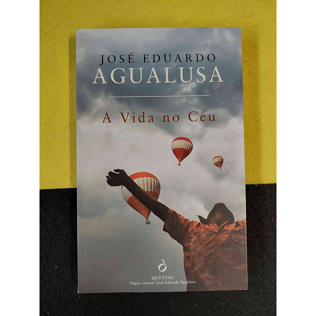 José Eduardo Agualusa - A vida no céu