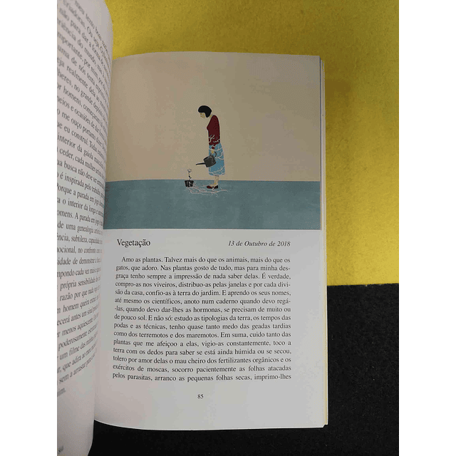 Elena Ferrante - A invenção ocasional