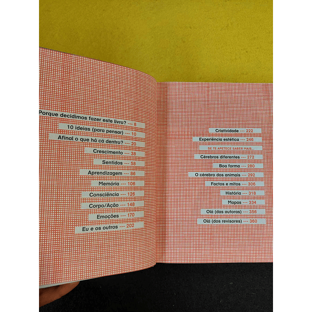 Isabel Martins, Maria Pedrosa, Madalena Matoso - Cá dentro: Guia para descobrir o cérebro