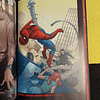 Mark Miller, Terry Dodson, Frank Cho - Homem-aranha: Caído entre os mortos. Volume 1