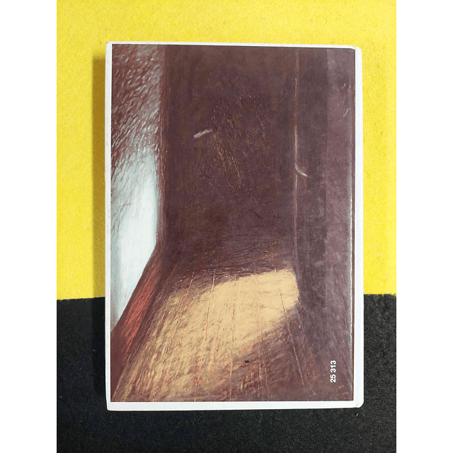 Miguel Esteves Cardoso - Os meus problemas