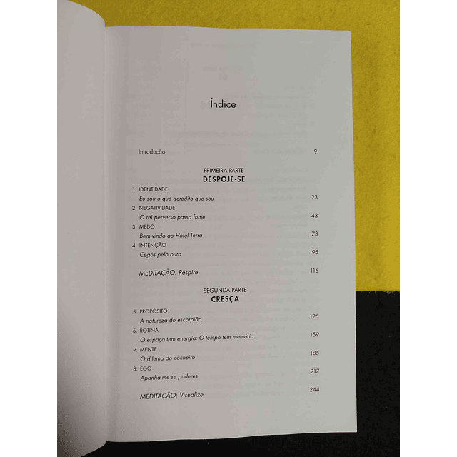Jay Shetty - Pensa como um monge: Programa a mente para uma vida serena e com sentido