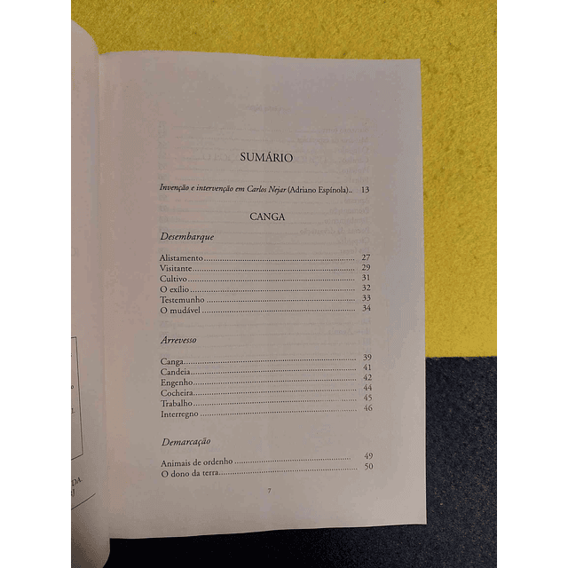 Carlos Nejar - Os dias pelos dias: Canga, O poço do calabouço, Árvore do mundo