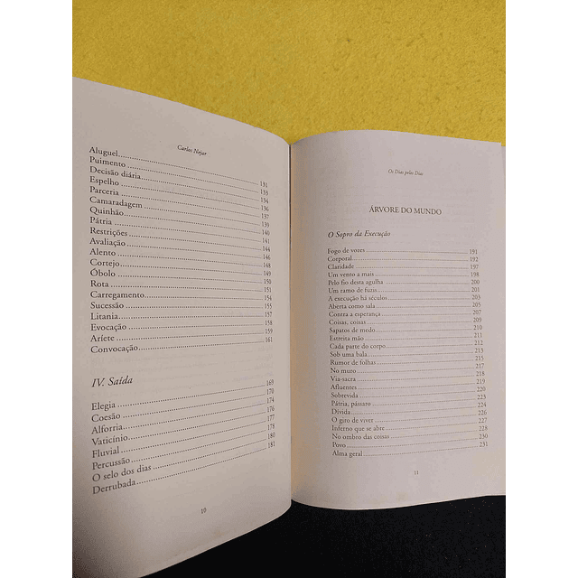 Carlos Nejar - Os dias pelos dias: Canga, O poço do calabouço, Árvore do mundo