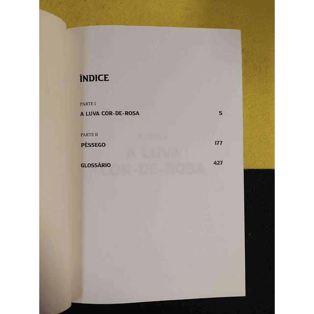 Bruno Martins Soares - Laura e o rei das sombras