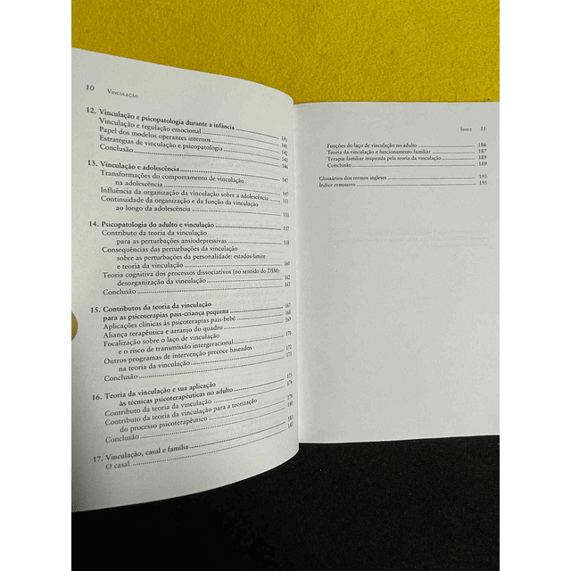 Nicole Guedeney. Antoine Guedeney - Vinculação: Conceitos e aplicações