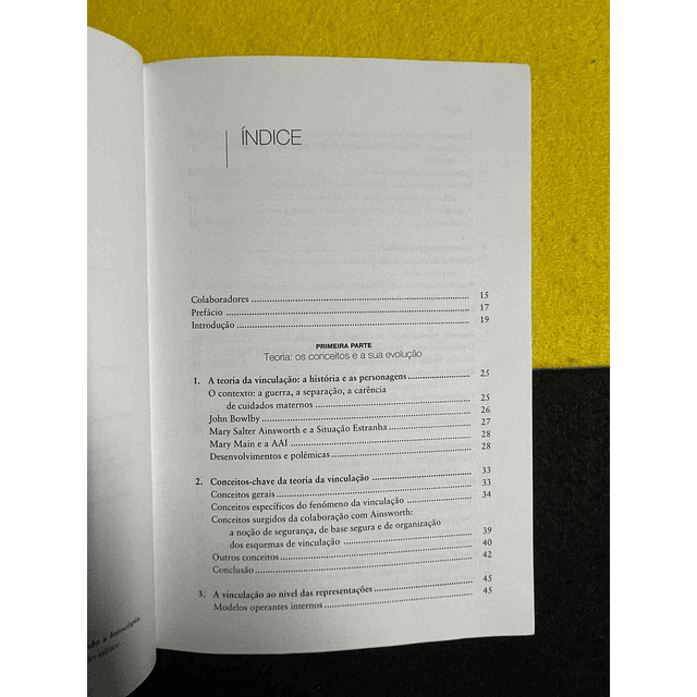 Nicole Guedeney. Antoine Guedeney - Vinculação: Conceitos e aplicações