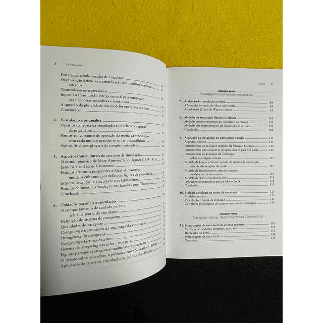 Nicole Guedeney. Antoine Guedeney - Vinculação: Conceitos e aplicações