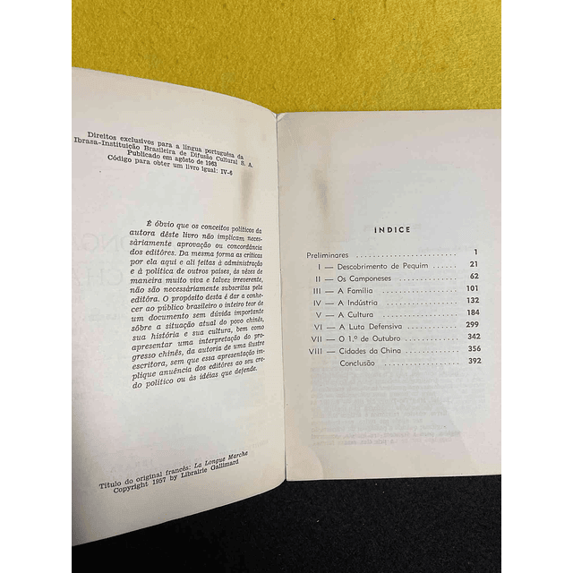 Simone de Beauvoir - A longa marcha